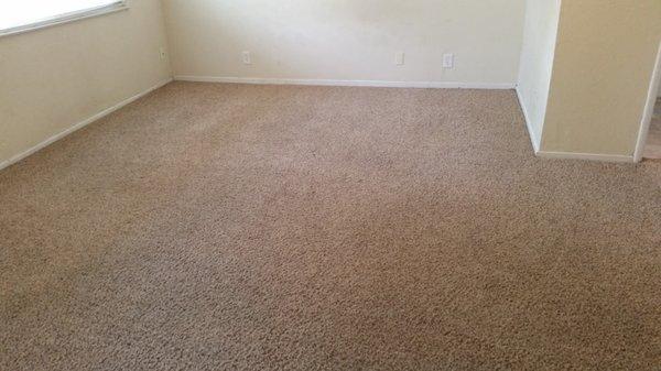 Finished cleaning old carpet and the RED STAINS gone