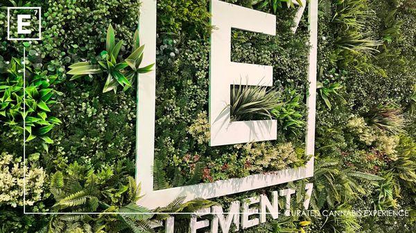 Explore Your Elements with us at Element 7 Chula Vista