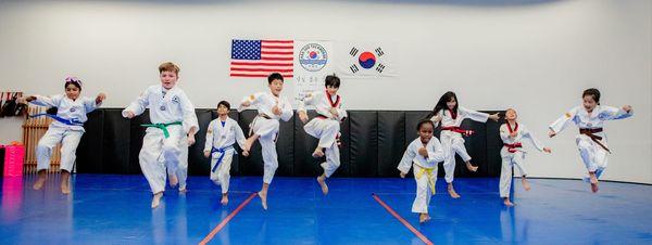 Hansoo Taekwondo