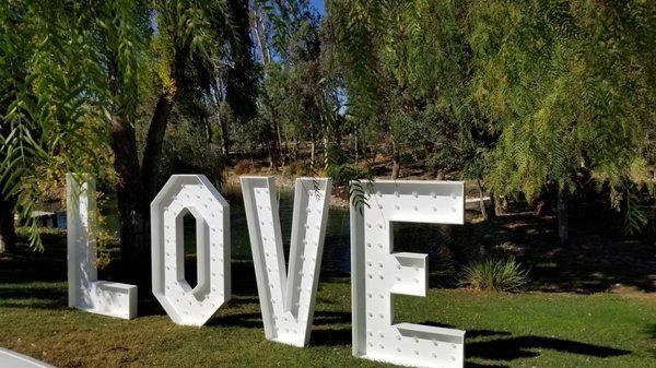 Wedding in wine country