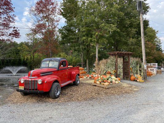 Fall display