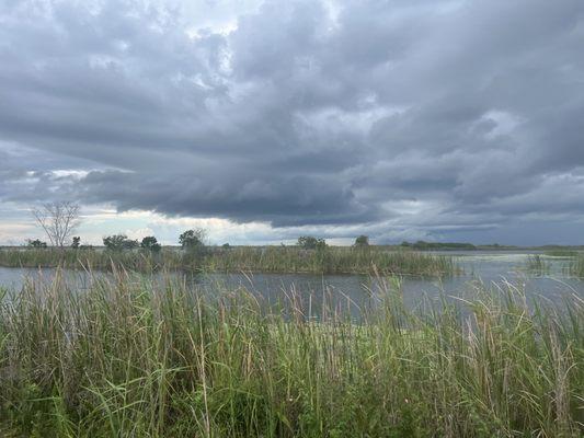 Loxahatchee Everglades Rides / Tours