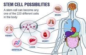 Regenerative Medicine and Stem cell treatments