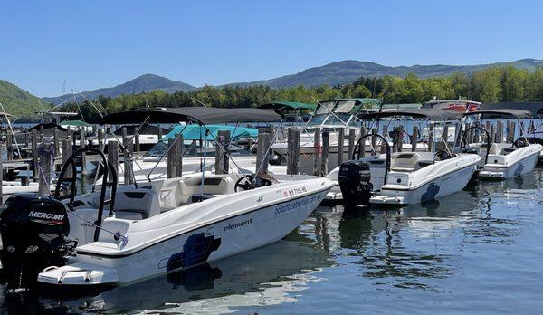 Bayliner Element Deck Boat, ,115HP, Max Capacity 9.