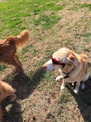 Everyone at the office is very kind and really seems to genuinely care about the animals.  I think they are all absolutely awesome!