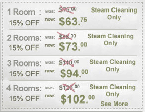 Our steam cleaning specials