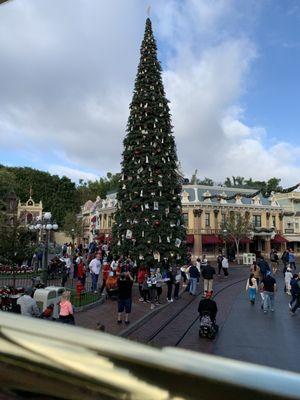 View of the tree from the top level