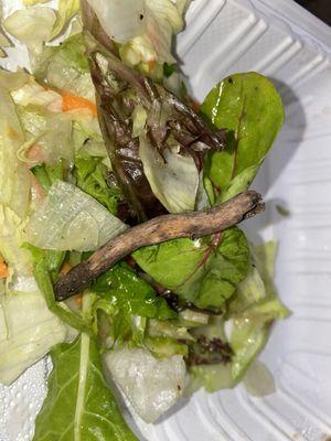 Piece of wood in salad