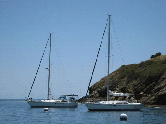 Moored at Emerald Bay "Learn to Sail to Catalina" class. Great way to find out if you would enjoy owning your own boat some day