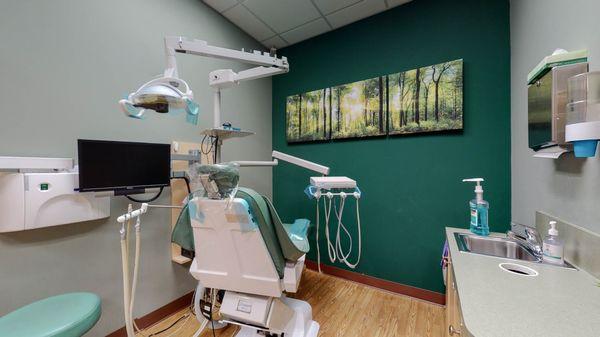 Check out our nature themed exam room here at West Covina Dental & Orthodontics!