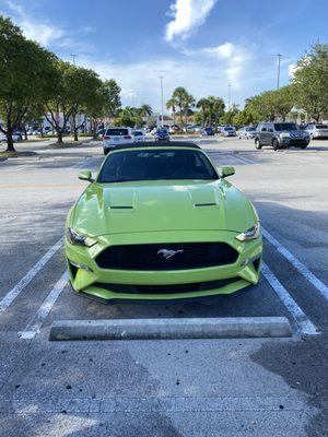 Miami Convertibles Car Rental