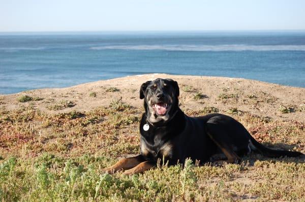 Roxy kickin' it in Puerto Nuevo, Mexico