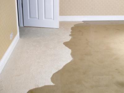 floods are our specialty when you need it cleaned fast were there in a jiff