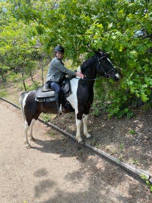 Trail rides for the warm weather!