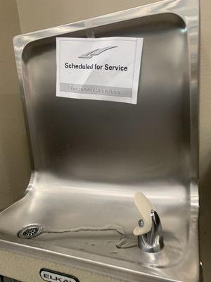 This water fountain has been "scheduled for service" for four months!!!