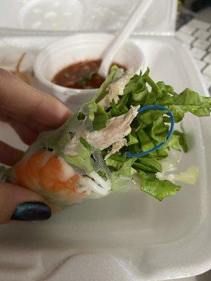 Spring roll with rubber band surprise!