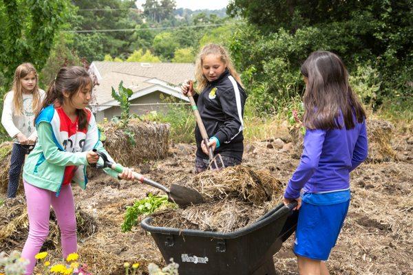 Students help in one of the school gardens, where they get hands on experience learning about nature and get to grow their own food!