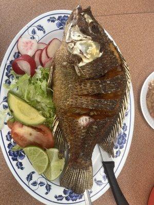 Mojarra