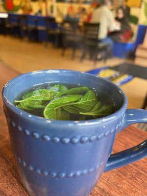 A steaming hot mint tea - perfect for cold winter days (12/2023)