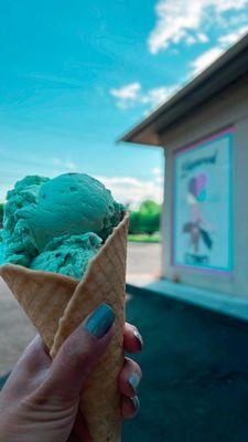 mint chocolate chip ice cream in waffle cone // outside of Edgewood Creamery