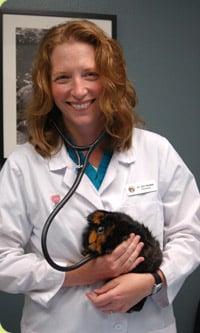 Dr. Erin Maillet: Veterinarian for Redmond, Sammamish, Fall City, Carnation, and Issaquah, WA.