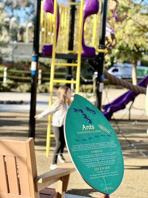 Ants sign and playground at Cordova Park in Mission Viejo, California