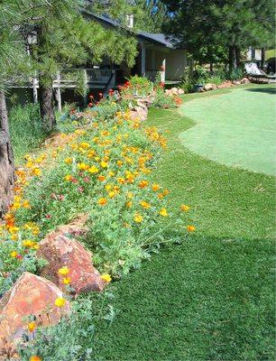 Wild flowers bloom in the spring next to this country home's putting green - installed 2002