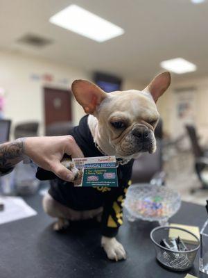 "Here's my business card" -office dog