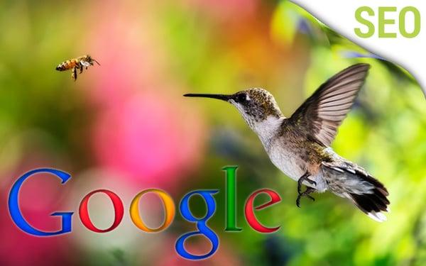 Hummingbird and SEO Optimization