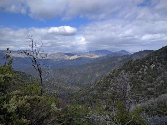 Pics taken from the top of Mt Lawlor