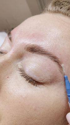 Brow Lamination