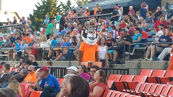 Keyote, the Frederick Keys mascot