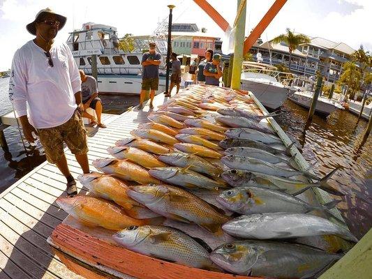 Snappers, variety of other fish