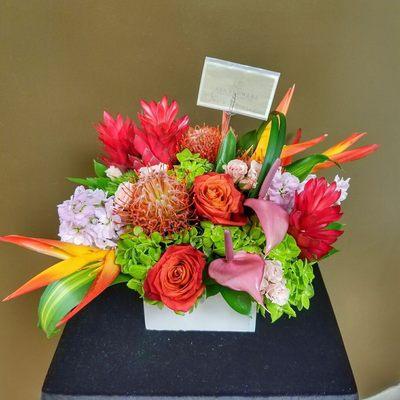 Tropical Arrangement