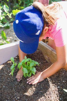 Organic Gardening at Summerkids