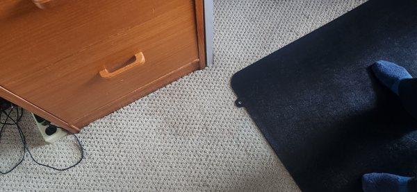 Water damage to carpets.