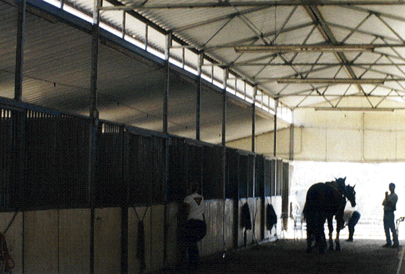 Peck Farm Main Barn interior.