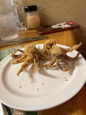 My kid loves the Fried Calamari