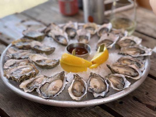 2 dozens of oysters