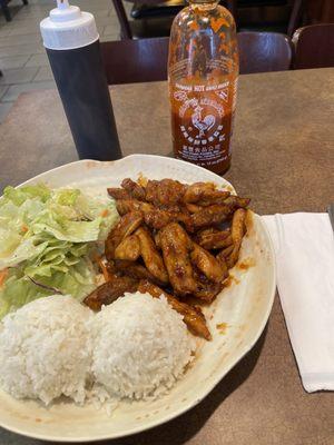 Spicy chicken teriyaki with tables sauces