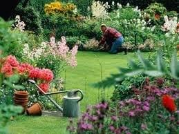 Complete Landscape Design, Installation, Maintainence, & Removal