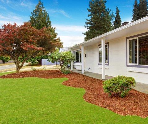 Turf and tree installation with mulch