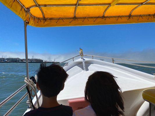 Zooming happily over the bay towards pier 39. The kids shouted 'best day ever!!!'