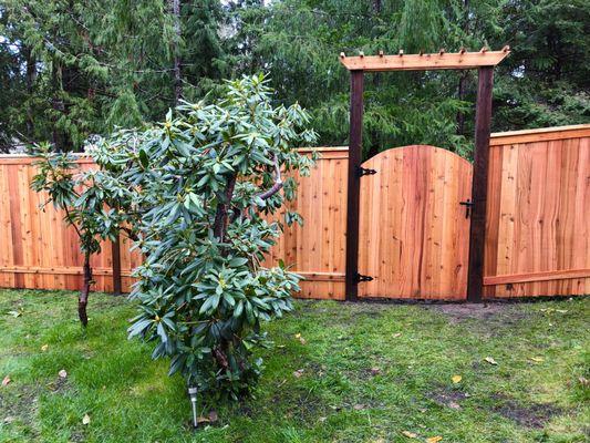 Curved gate with arbor and cool black hardware