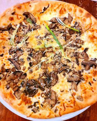 Wild mushroom pizza wasn't too heavy, had nice garlic & mushroom flavor as well as crispy exterior. Wish the pizza was lil bit cheesier tho