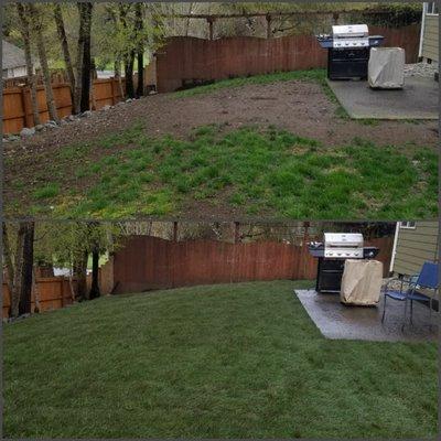 Before and After of my sod installation!