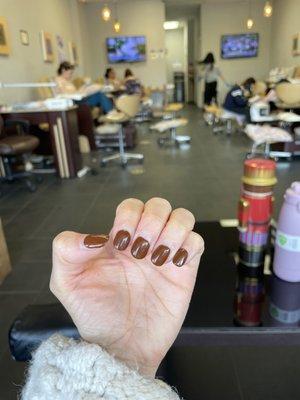 Brown dip powder manicure 2+ weeks