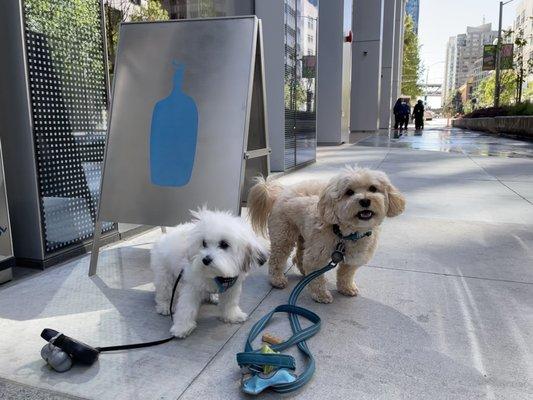 Blue Bottle!