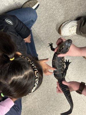 Kids were instructed on how to interact with the animals.  Instructors were patient and professional.