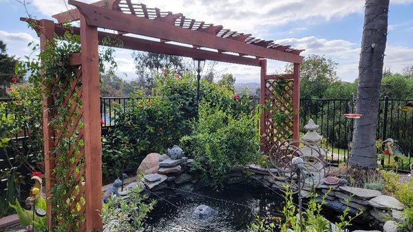 Water feature and pergola designed & installed